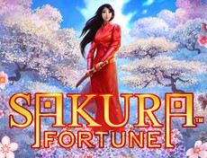 Sakura Fortune